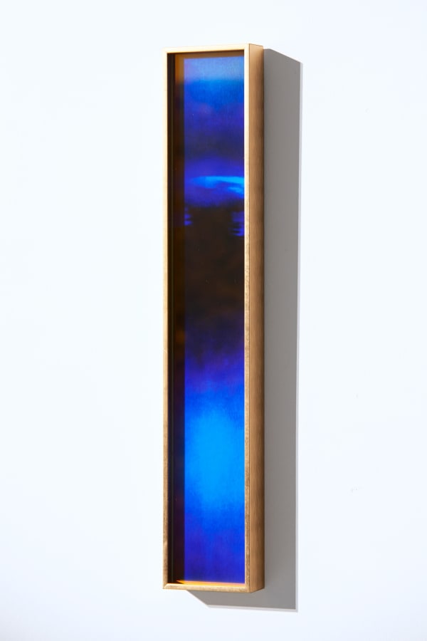 Thomas Devaux, Totem 25.02