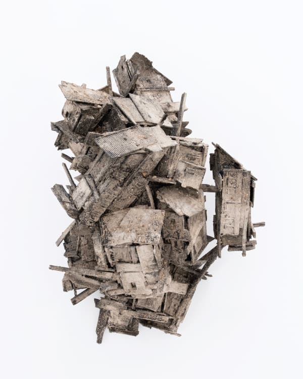 Pim Palsgraaf, MYCOSE CITY 42.2, 2022