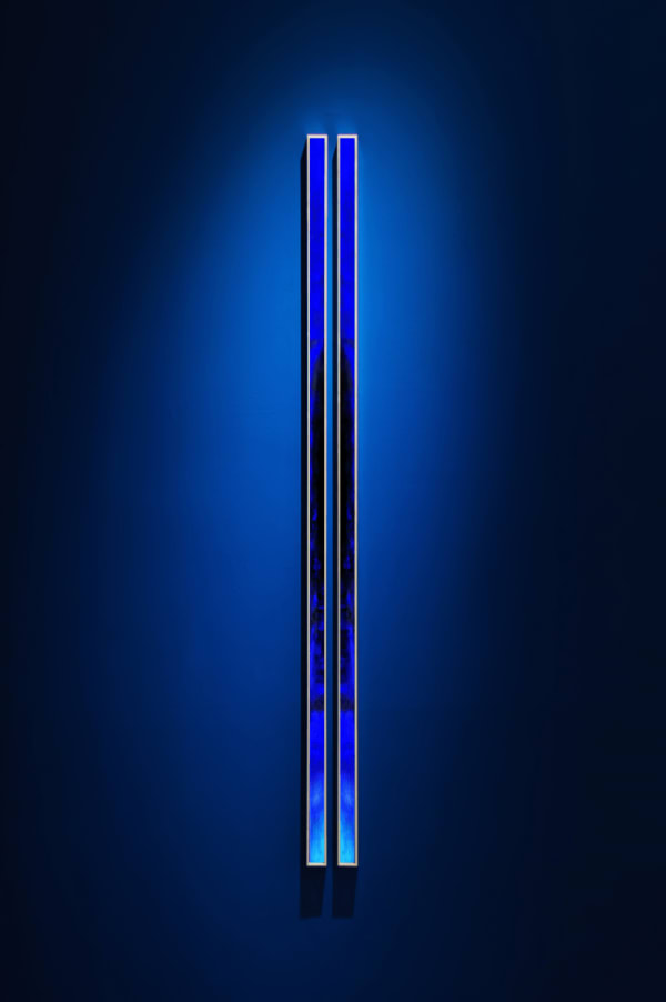 Thomas Devaux, Totem 10, 2022