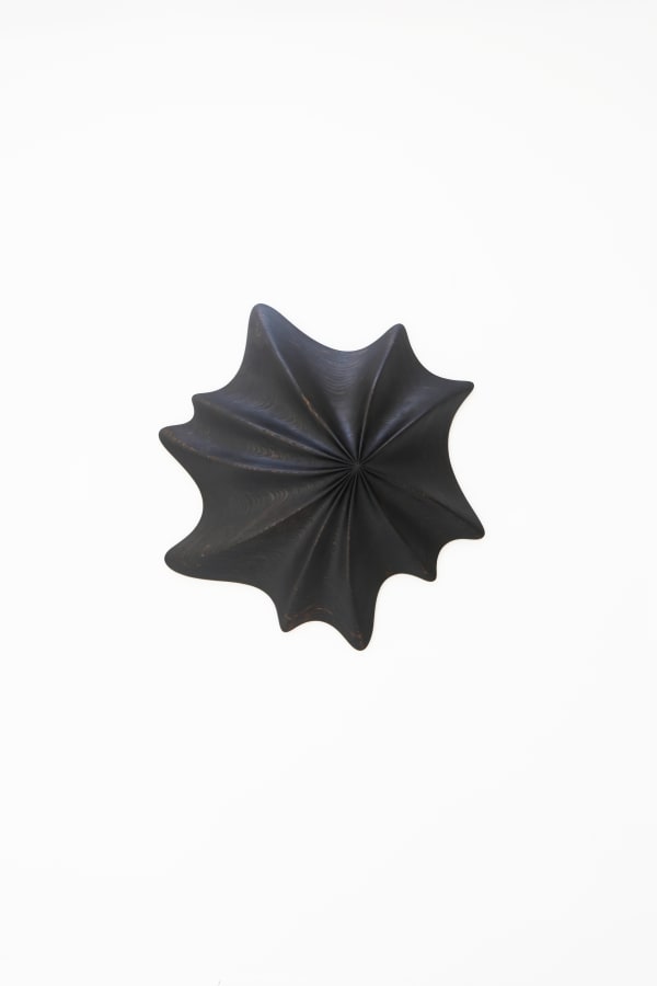 Daniel Mirchev, Zooming 2