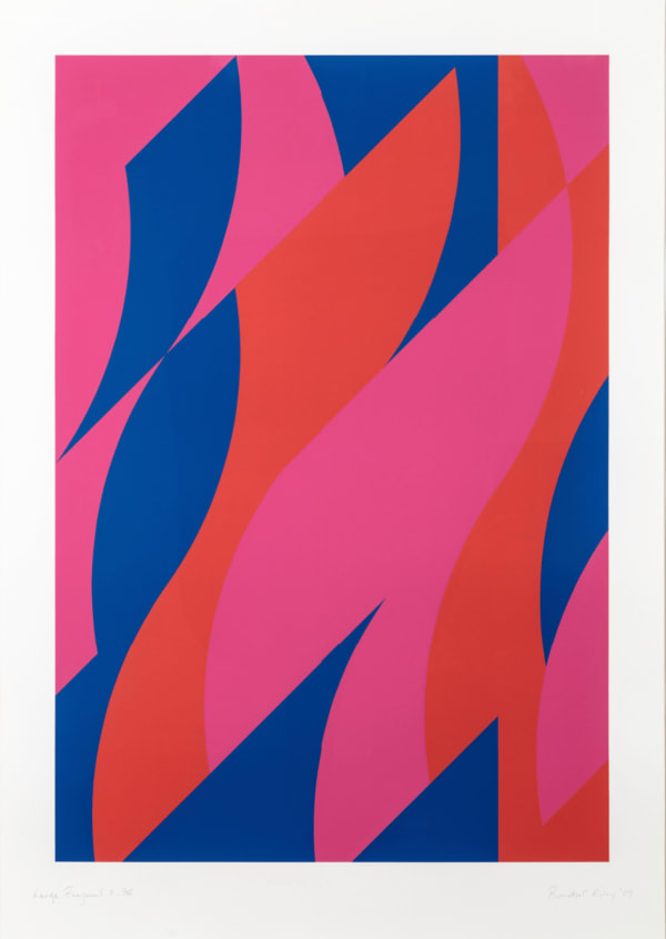 Bridget Riley, Large Fragment 2, 2009