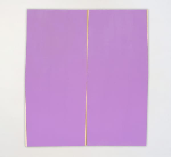 Seán Shanahan, Untitled, 2023