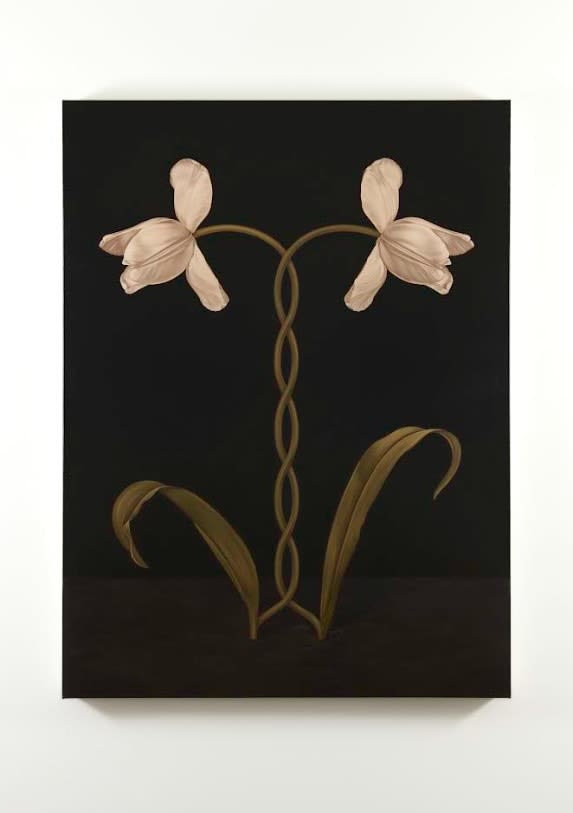 Meghann Stephenson, Mistaken for Strangers, 2025