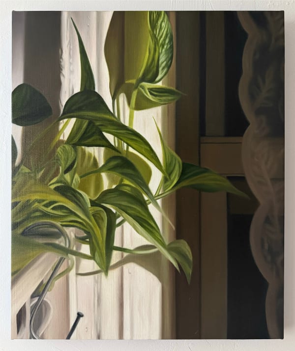 Cait Porter, Pothos at Night, 2025