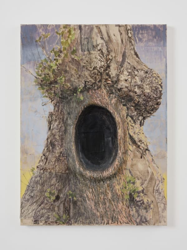 Shana Hoehn, Tree Hollow, 2025