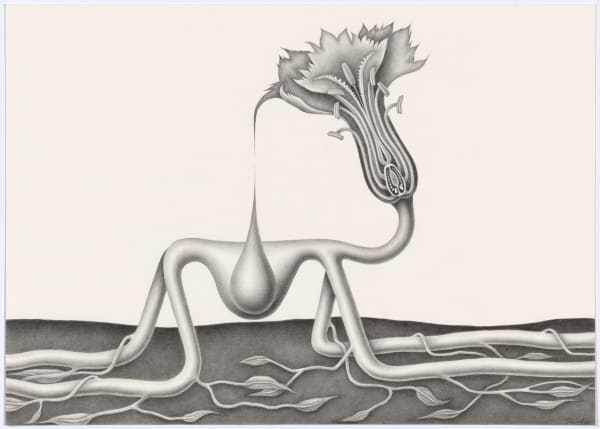 Devra Fox, All Fours, 2025