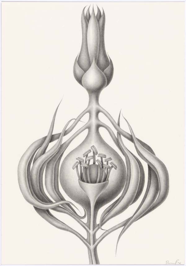 Devra Fox, Ripen, 2025