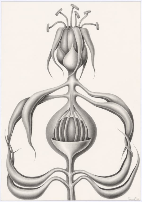 Devra Fox, Ripe, 2025