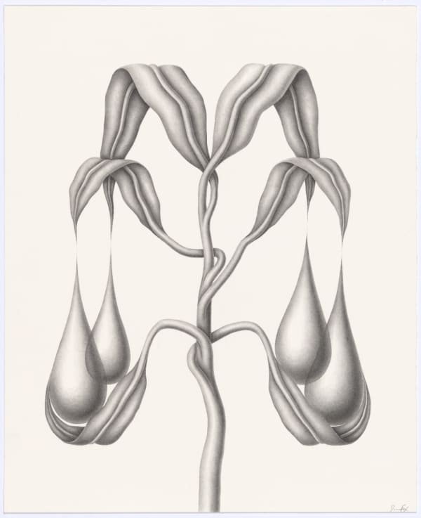 Devra Fox, Caught, 2025