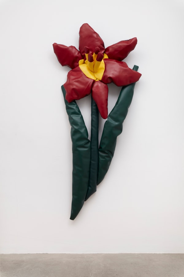 AI Freeman, Muskoka Day Lily, 2024