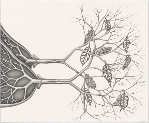 Devra Fox, Come In, 2025