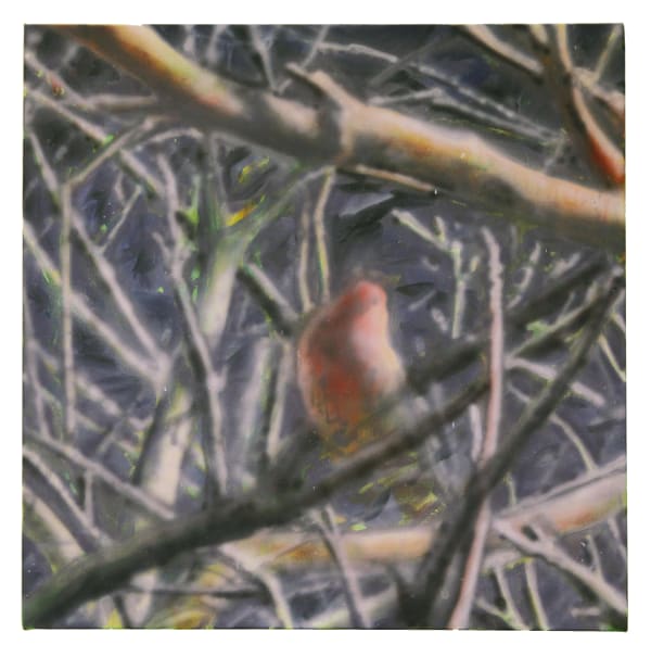 2020 early spring, 2020 Oil on canvas 30 x 30 in 76.2 x 76.2 cm