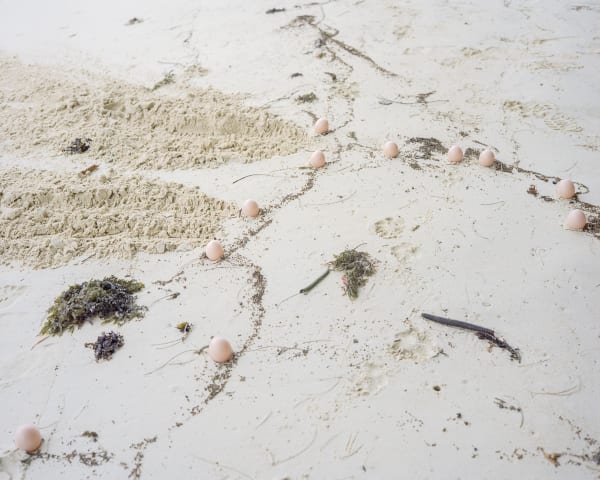 Peng Ke, A drawing by the ocean, trees, Showgun and I on the beach, 2019