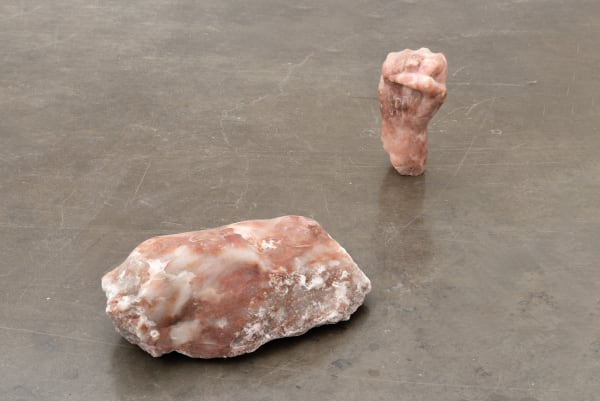 Catalina Ouyang, all those years later there was nothing in there but dead squirrels and trapped heat, it felt like salvation, 2019