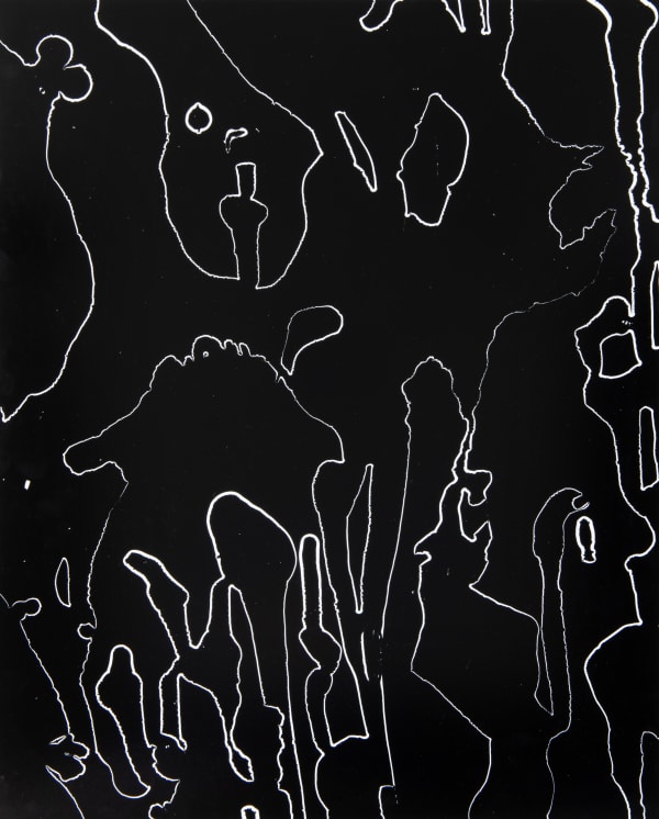 William Lamson, Flow Genesis 2018.09, 2018