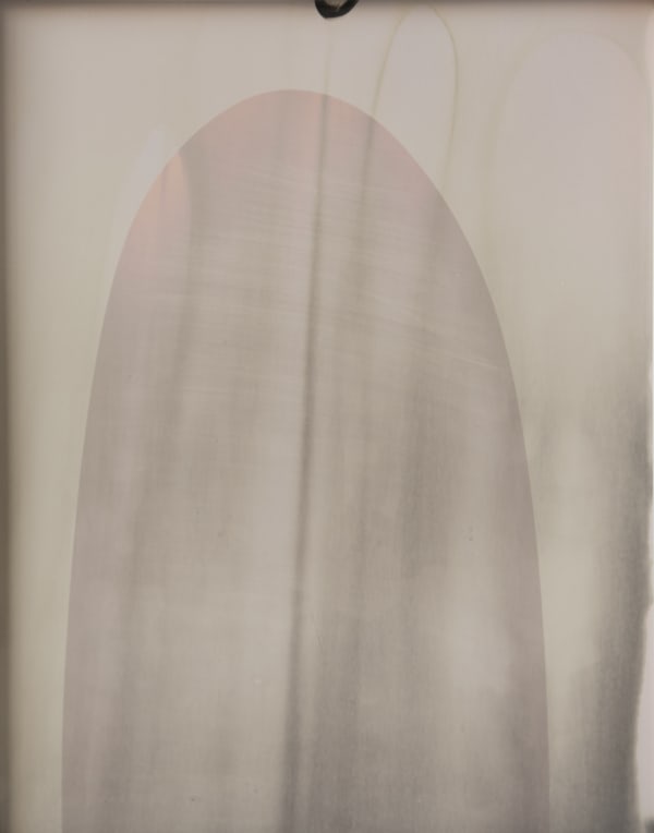 William Lamson, Flow Genesis 2018.19, 2018