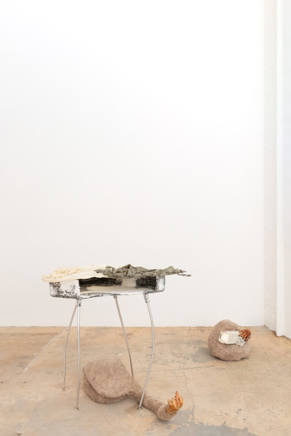 Catalina Ouyang, risk assessment (but, but what made me do the bad thing?), 2019