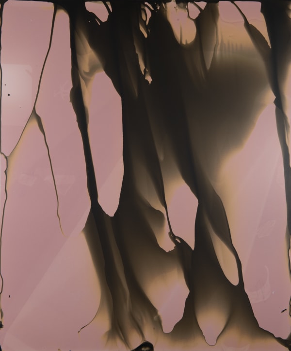 William Lamson, Flow Genesis 2018.01, 2018