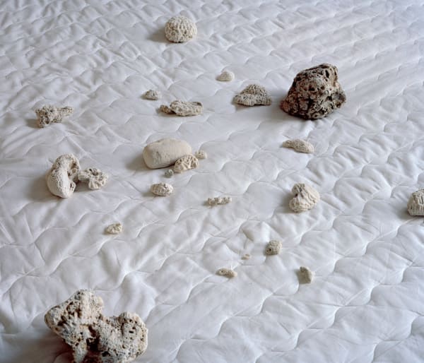 Peng Ke, Sleeping Corals , 2014