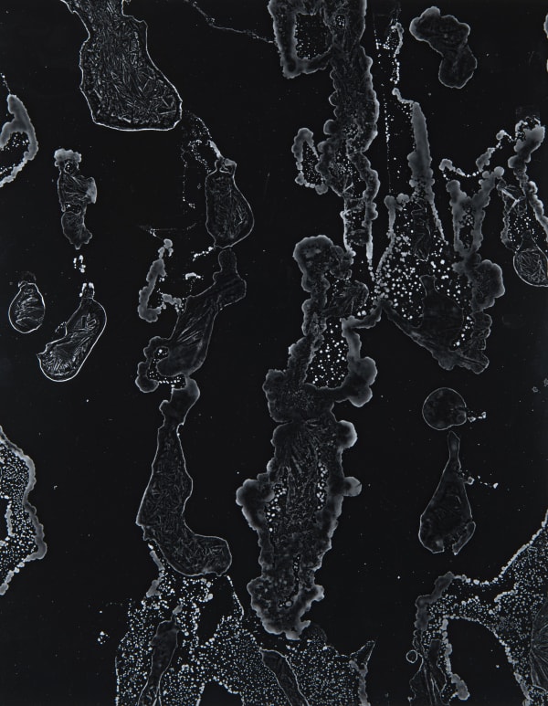 William Lamson, Flow Genesis 2018.11, 2018