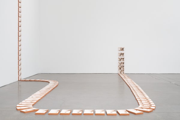 Roksana Pirouzmand, Rash 1, 2021