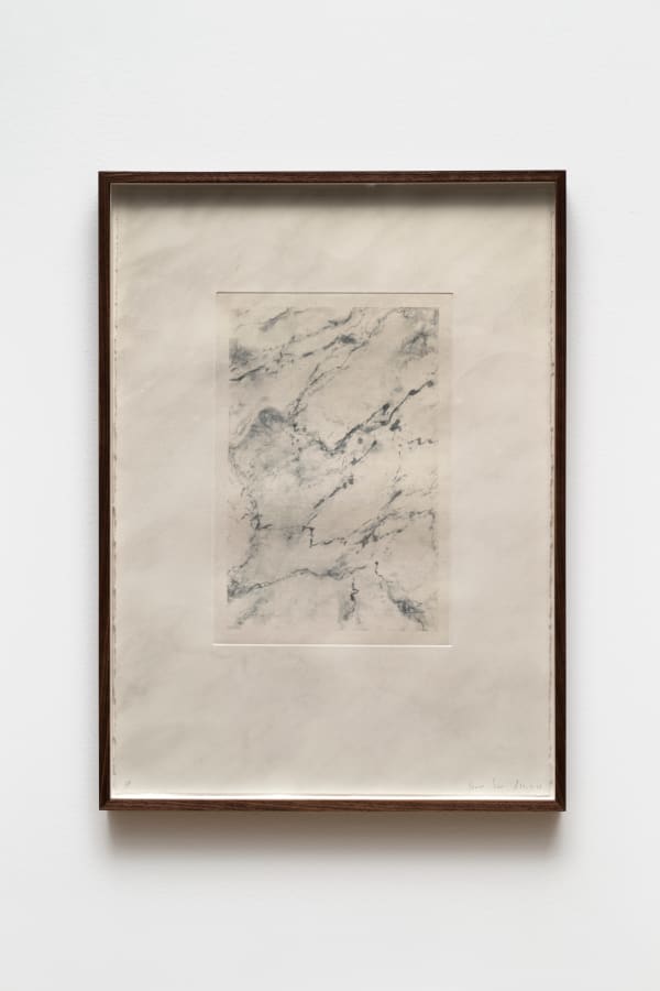 Joeun Kim Aatchim, Marble floor, Spit, and the Nausea., 2014