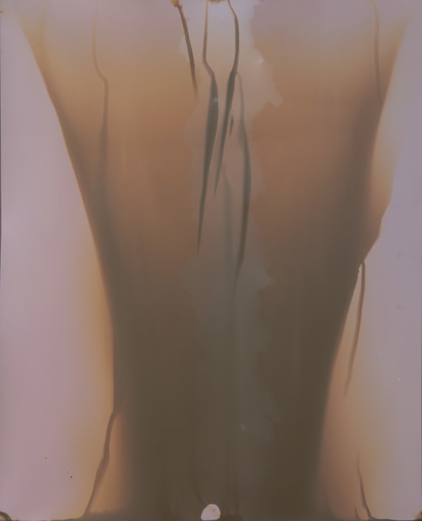 William Lamson, Flow Genesis 2018.15, 2018