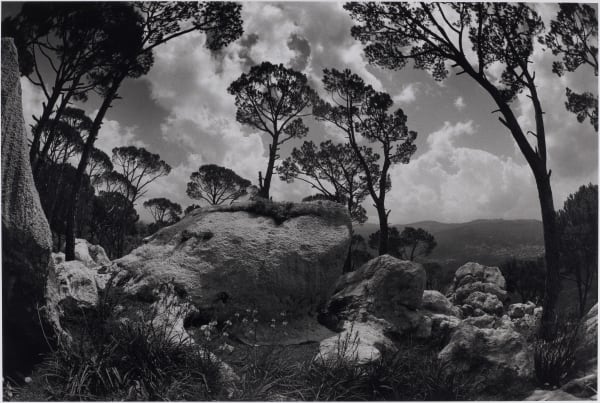 Mal Fostock, Metamorphosis, 2000