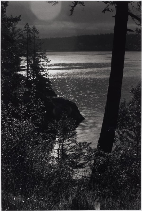 Mal Fostock, Lopez Island, 2000
