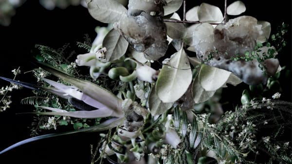 GastroGeography x Pukakawa, 2022