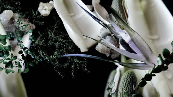 Frozen Duck Pond, 2022