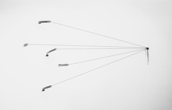 Xu Dengqian, 50+50=50, 2025