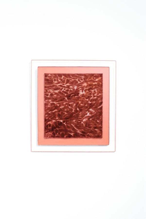 Serena Huang, The tissue that connects the third and fourth palm bone, 2024