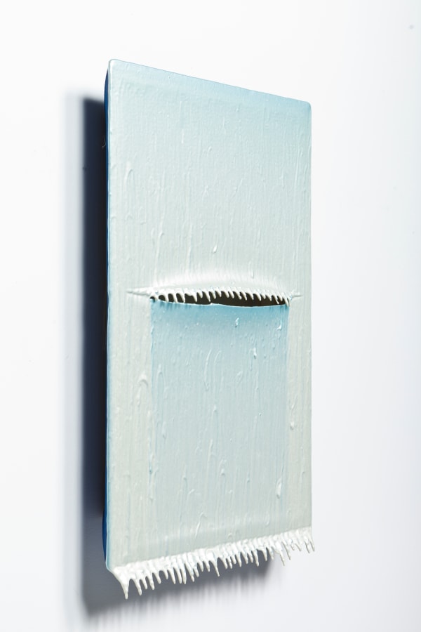 Joseph Cohen, Proposition 325