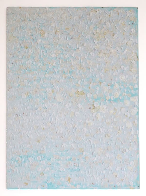 Joseph Cohen, Proposition 535