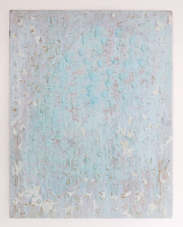 Joseph Cohen, Proposition 531