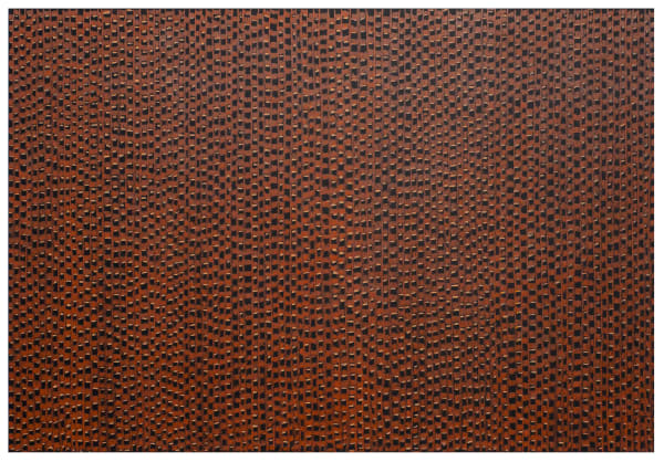 Francisco Morales, "Defensor de oficio VIII", 2022-2224