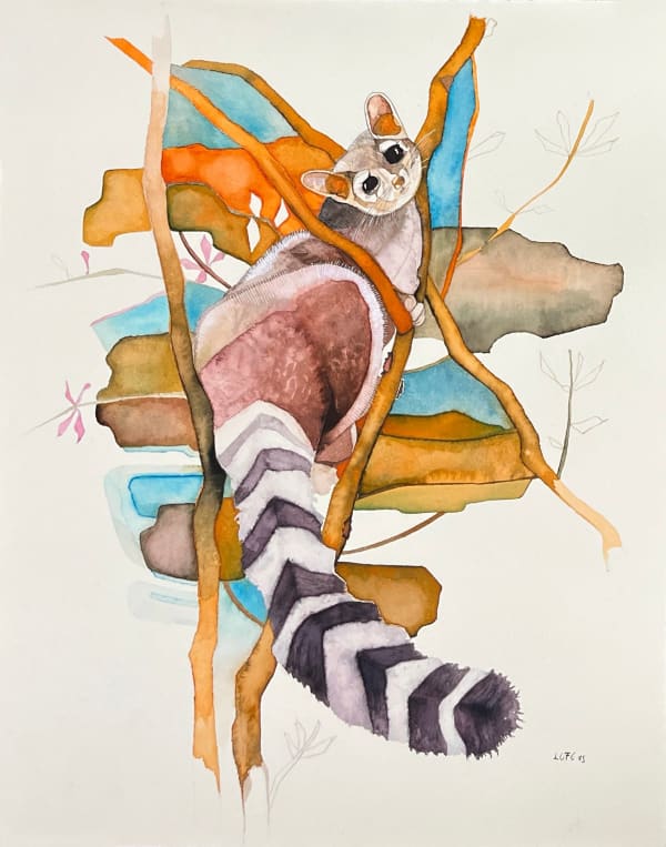 Oscar Figueroa, "Cacomixtle en las alturas", 2025