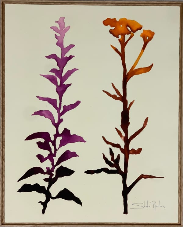 Shuta Ruelas, "Naturaleza 3", 2025