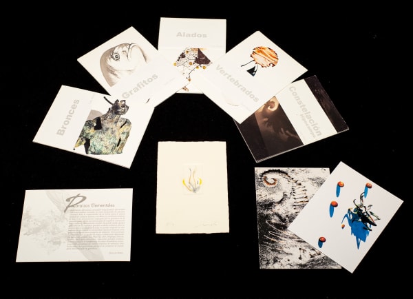 Luis Moro, Catálogo Colección Luis Moro + "Lirio", 2024