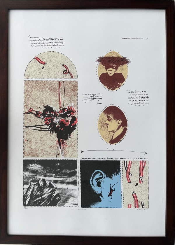 Javier Campos Cabello, "Estudios anatómicos", 1988