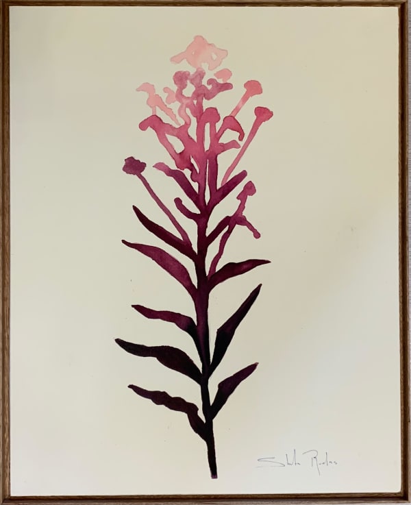 Shuta Ruelas, "Naturaleza 2", 2025