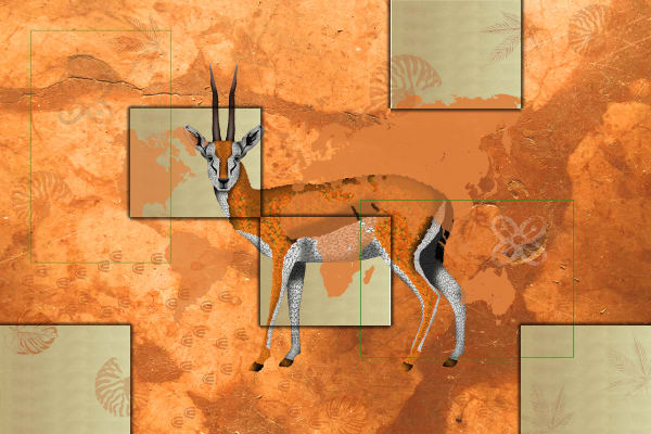 Marco Veronese, GAZELLE