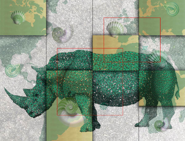 Marco Veronese, RHINO 1