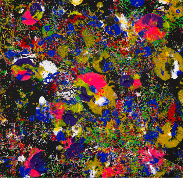 Fayez Barakat, MP.0347, 2021