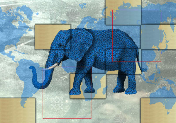 Marco Veronese, ELEPHANT