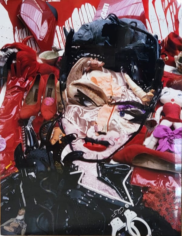 BERNARD PRAS, Inventaire 60bis “Catwoman in red”, 2004