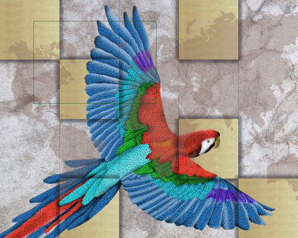 Marco Veronese, MULTICOLOR MACAW