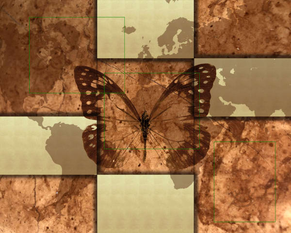 Marco Veronese, BUTTEFLY 2