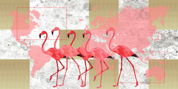 Marco Veronese, FLAMINGOS